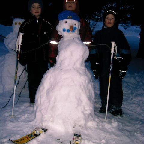 Dagur, Unnar og Ýmir voru ekkert smá duglegir í snjókallagerð.  Voru búnir að gera heila fjölskyldu.  Hérna sjáið þið pabbann en hann var búinn að læra á skíði eins og þeir.