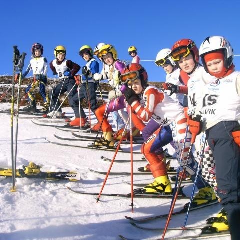 Pæjurnar í 6.-7.bekk