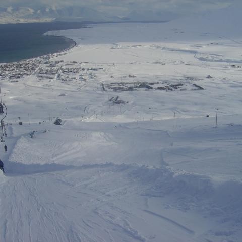 28. febrúar 2010