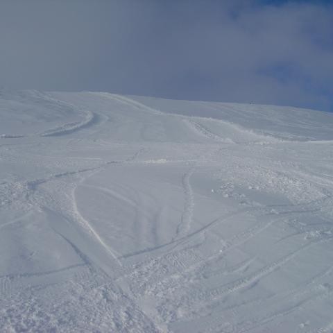 Stallabrekka 28. mars 2010