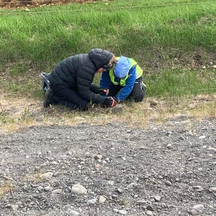 fb_img_1592252936455