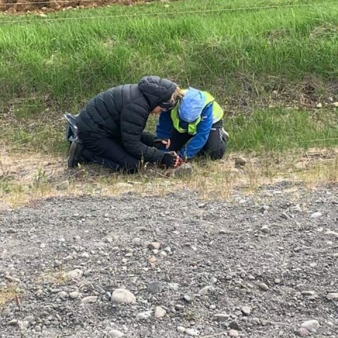 fb_img_1592252936455