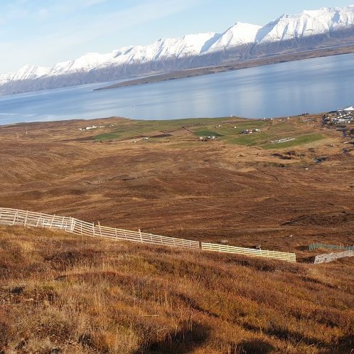 Snjógirðingavinna 2019