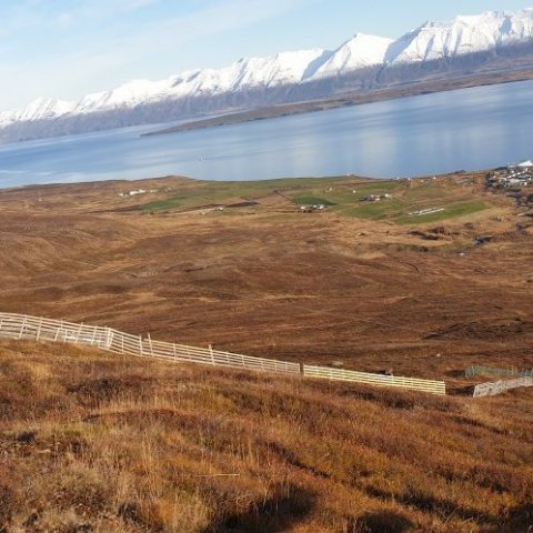 Viðgerð áa gömlum girðingum