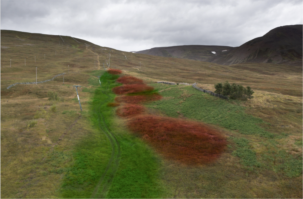 Landslagsmótun á skíðasvæðinu.