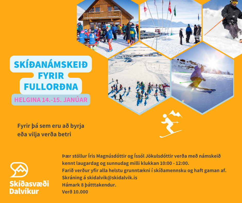 Fullorðins skíðakennsla