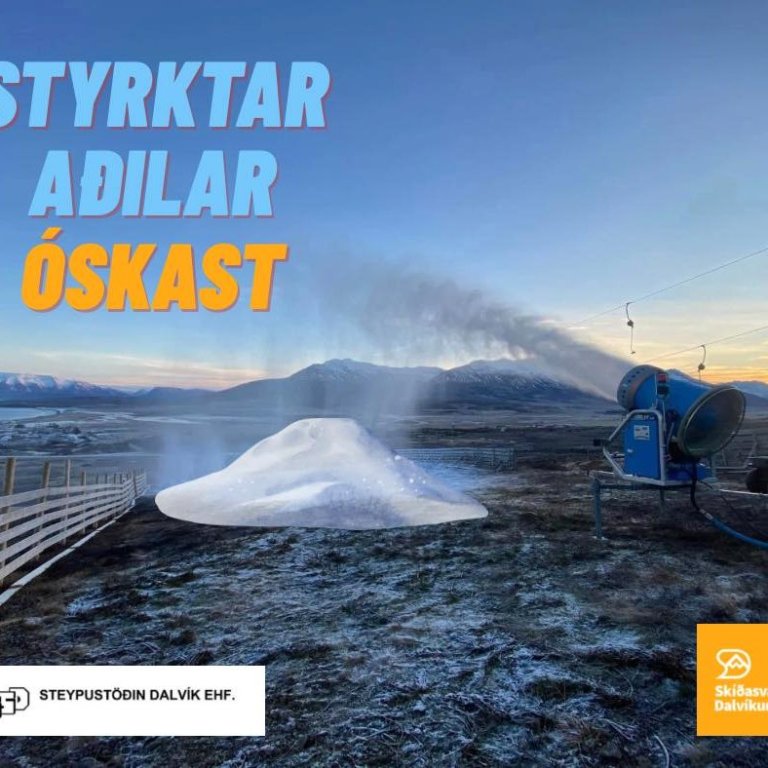 Styrktaraðilar óskast...