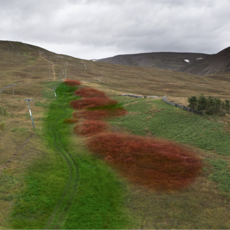 Landslagsmótun á skíðasvæðinu.