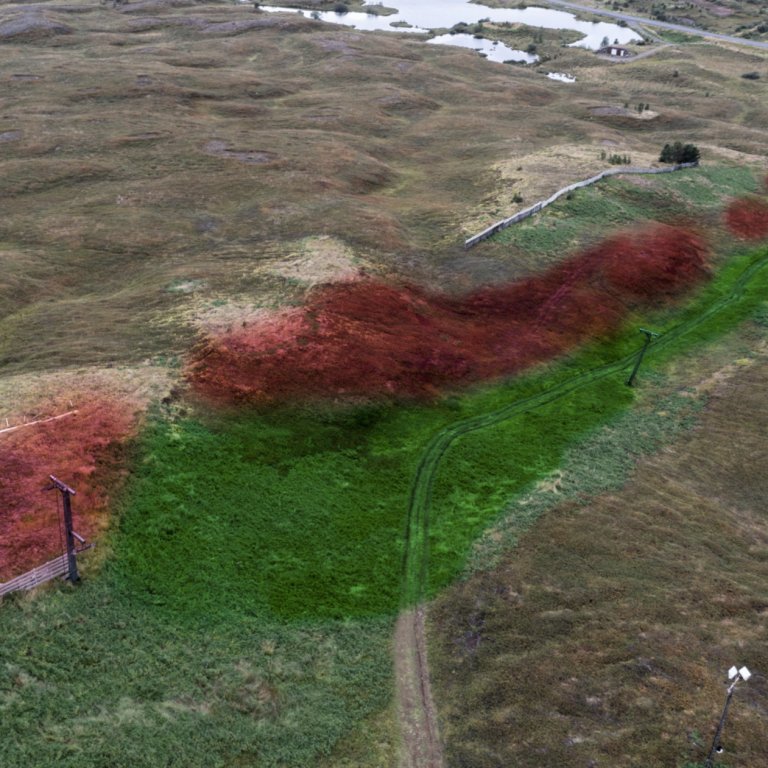 Vel heppnuð gönguferð og kynningarfundur í Bergi 14. Júlí klukkan 17:00