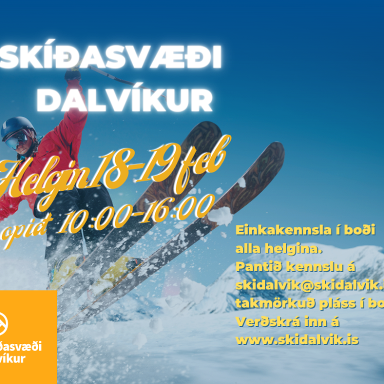 Einkakennsla í boði næstu helgi.