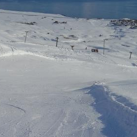 Þorramót 2022 úrslit