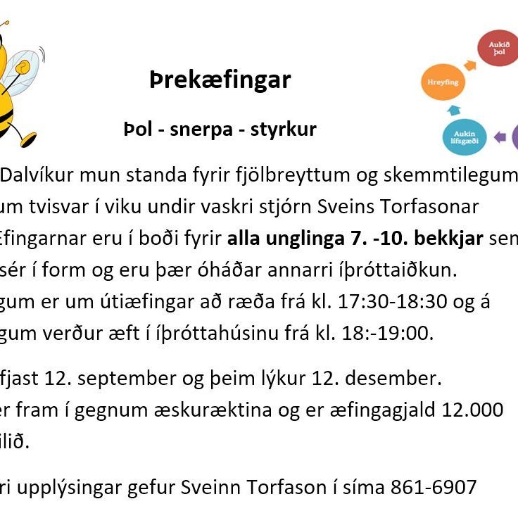 Þrekæfingar