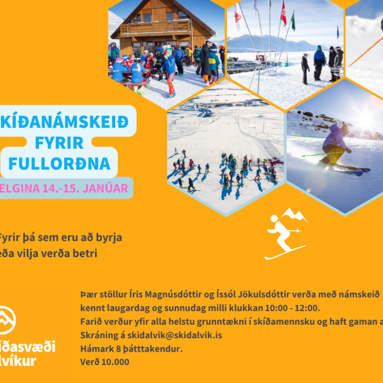 Fullorðins skíðakennsla